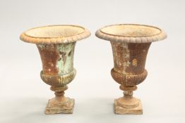 A PAIR OF CAST IRON URNS, of campana form. 44cm high