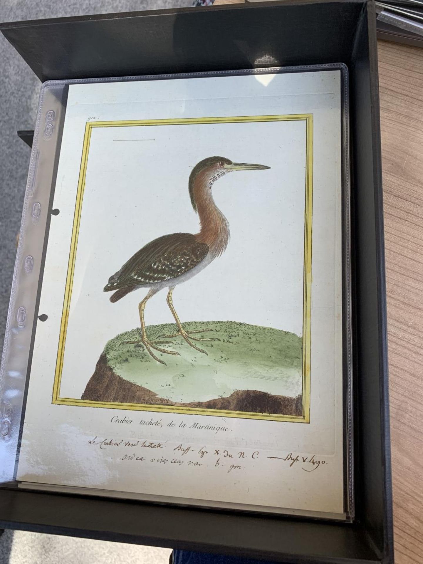 AFTER FRANCOIS-NICOLAS MARTINET (1731-1800), FRENCH BIRD STUDIES - Bild 68 aus 76