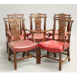 A SET OF EIGHT CHIPPENDALE STYLE MAHOGANY DINING CHAIRS