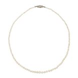 A NATURAL SALTWATER PEARL NECKLACE