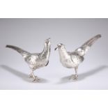 A PAIR OF FRENCH SILVER PHEASANTS, mid 19th century, realistically modelled as two pheasants