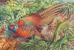 DAVID BINNS (BORN 1935), PHEASANTS