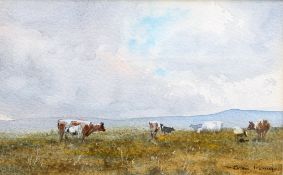 BRIAN IRVING (1931-2013), COWS IN A MEADOW