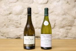 2 BOTTLES LOT OF CHABLIS GRAND CRU COMPRISING : 1 BOTTLE CHABLIS GRAND CRU ‘BLANCHOTS’ DOMAINE