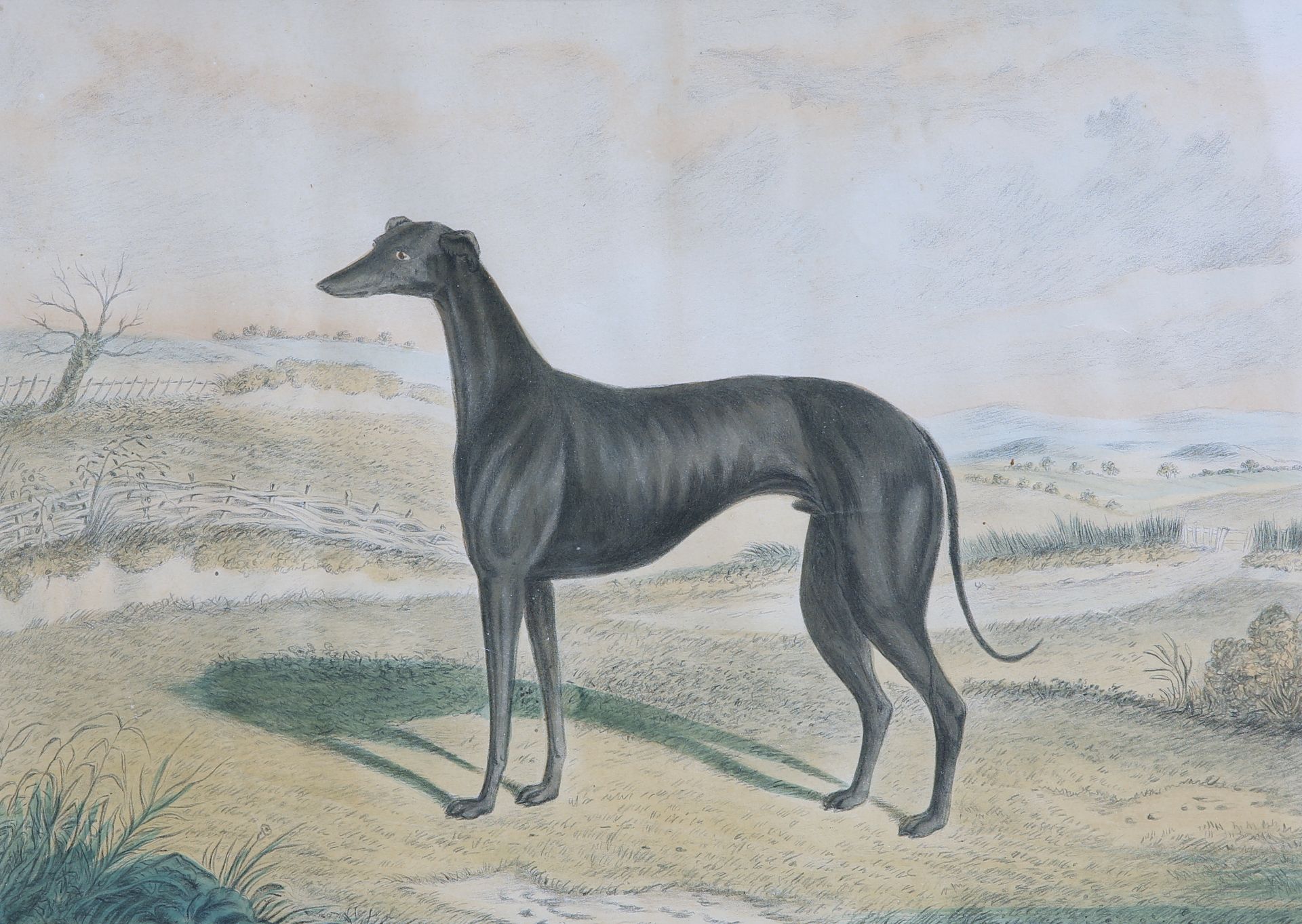 A GROUP OF FIVE 19TH CENTURY HAND-COLOURED ENGRAVINGS OF GREYHOUNDS, including "Waterloo Cup - Bild 5 aus 10