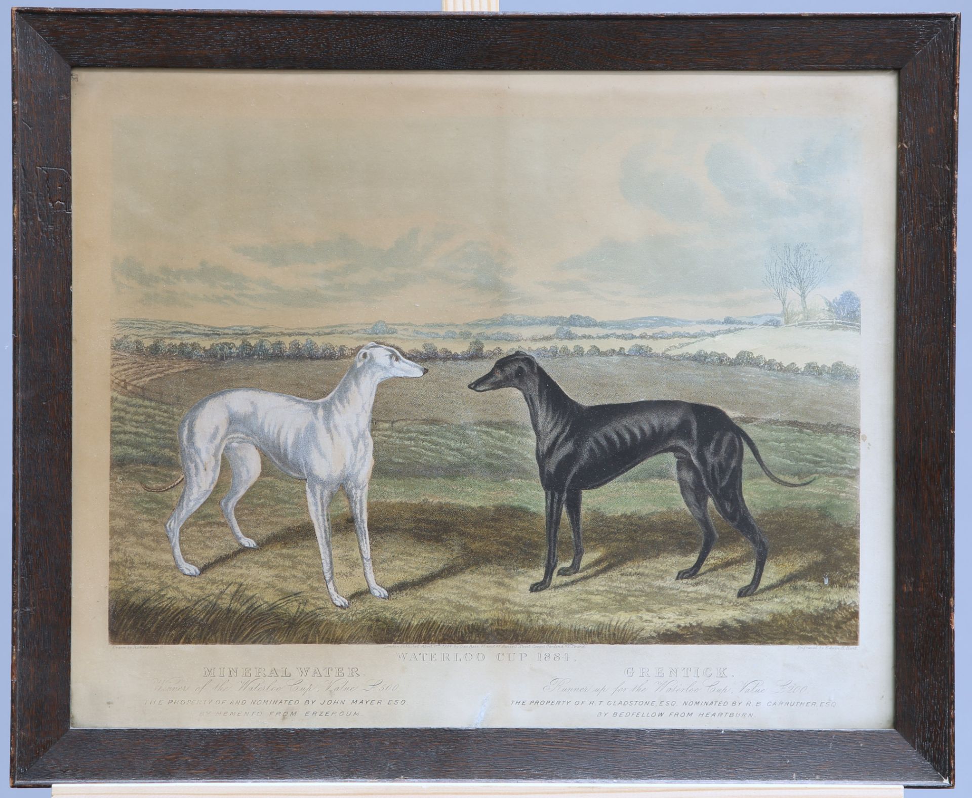 A GROUP OF FIVE 19TH CENTURY HAND-COLOURED ENGRAVINGS OF GREYHOUNDS, including "Waterloo Cup - Bild 4 aus 10