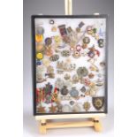 A FRAME OF MAINLY BRITISH BADGES AND OTHER INSIGNIA, including military and ambulance related
