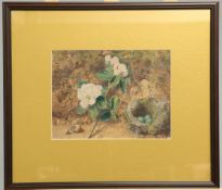 WILLIAM HENRY HUNT (1790-1864), BIRDS NEST AND SPRIG OF FOLIAGE, watercolour, framed. 21.5cm by