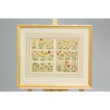 CHARLES FREDERICK TUNNICLIFFE (1901-1979), BOTANICAL STUDIES, six studies on two sheets, framed as