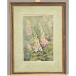 ~ KATE GERBER (20TH CENTURY), FOXGLOVES, signed lower right, watercolour, framed, 36.5cm by 24cm;