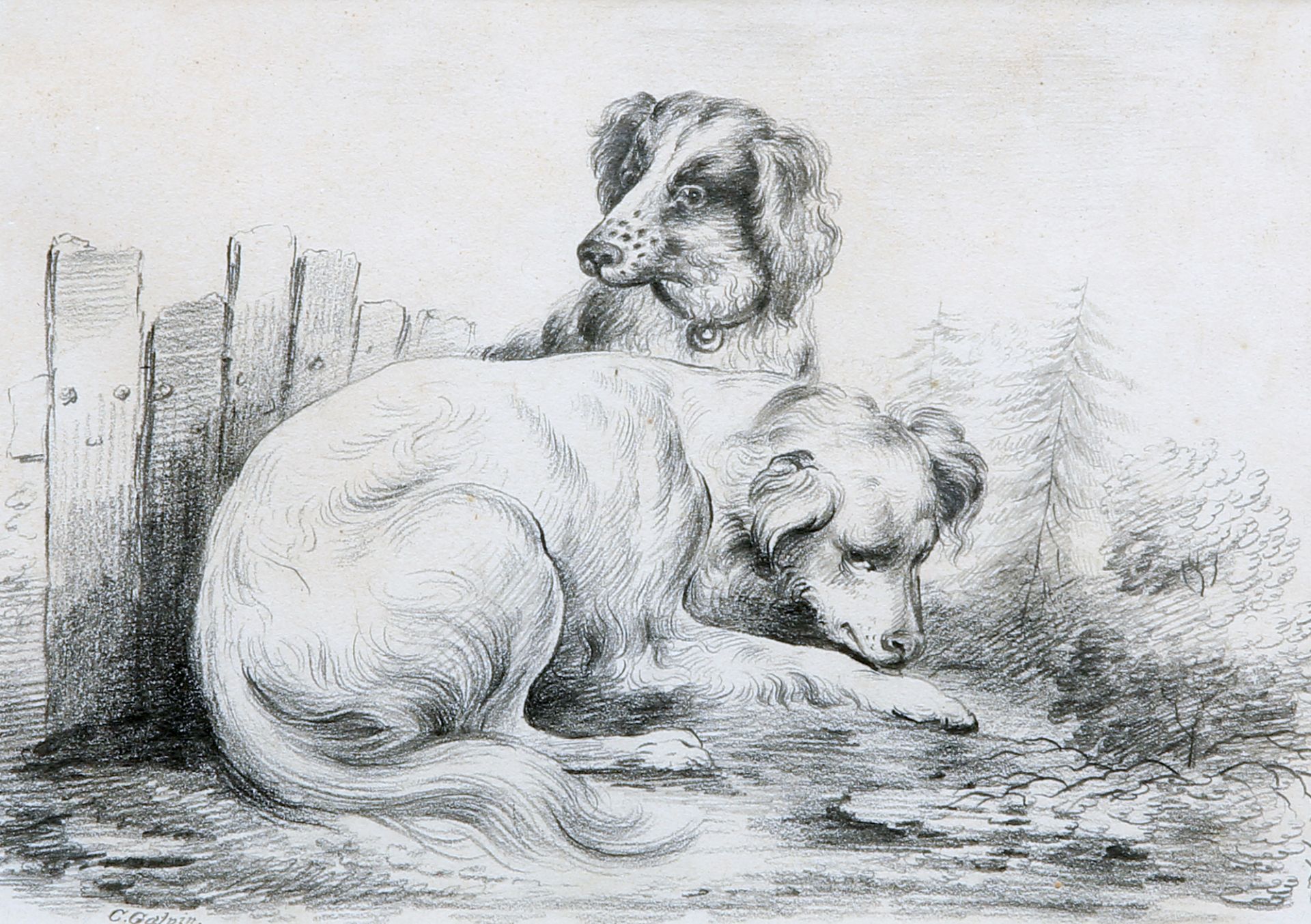 C*** GALPIN (19TH CENTURY), DOGS
