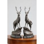 A LARGE PAIR OF BRONZE STAGS cast standing on a rocky outcrop and raised on a marble base. 74cm