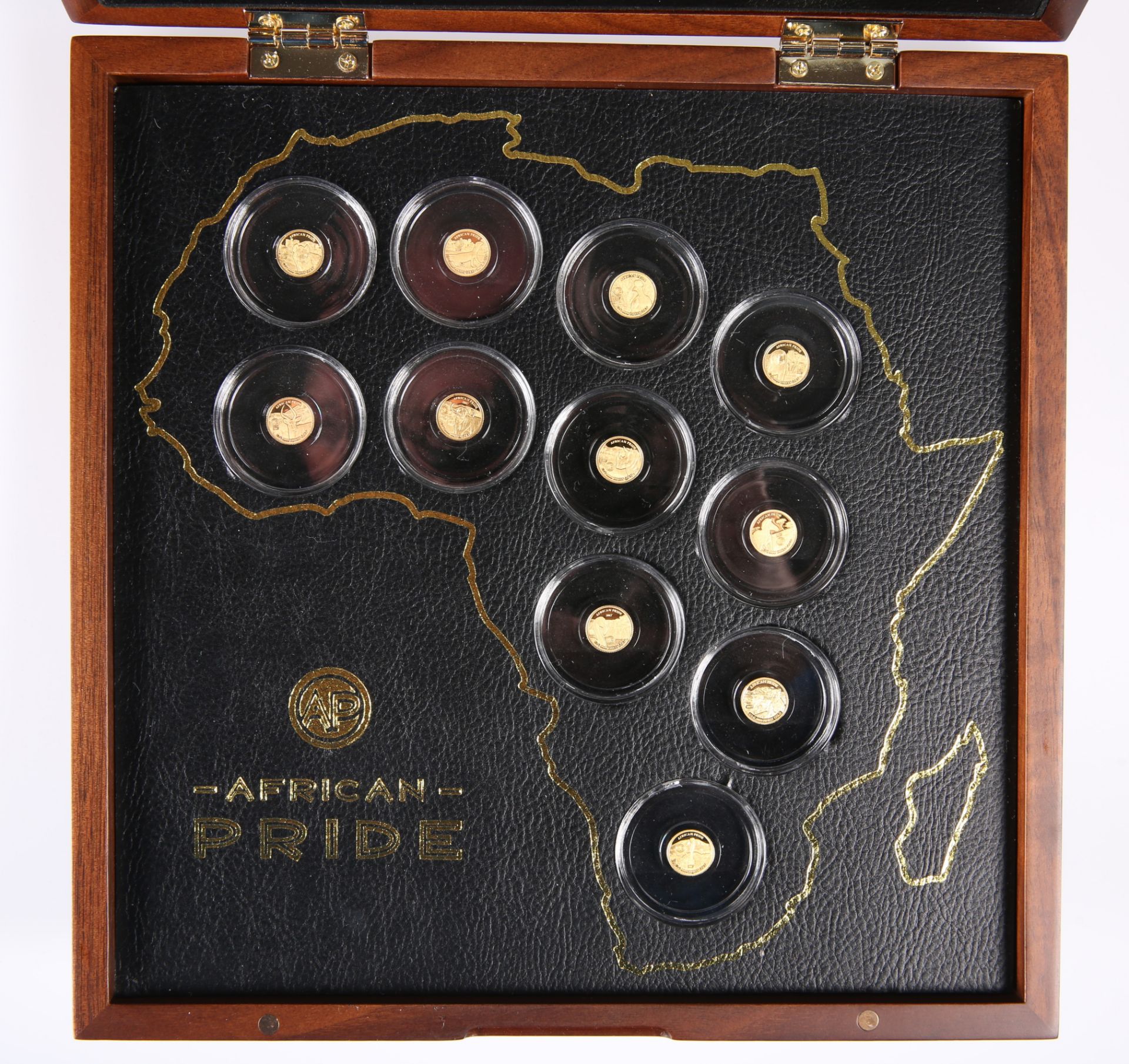 A 2017 ELEVEN COIN GOLD PROOFSET, "AFRICAN PRIDE", no. 00015, in presentation case, with outer