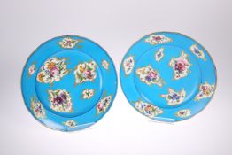 A PAIR OF SEVRES STYLE BLEU CELESTE-GROUND CABINET PLATES, 19TH CENTURY, each painted with scattered