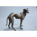 A BRONZE LIFESIZE MODEL OF A HOUND, cast standing with head turned to the right. 80cm high