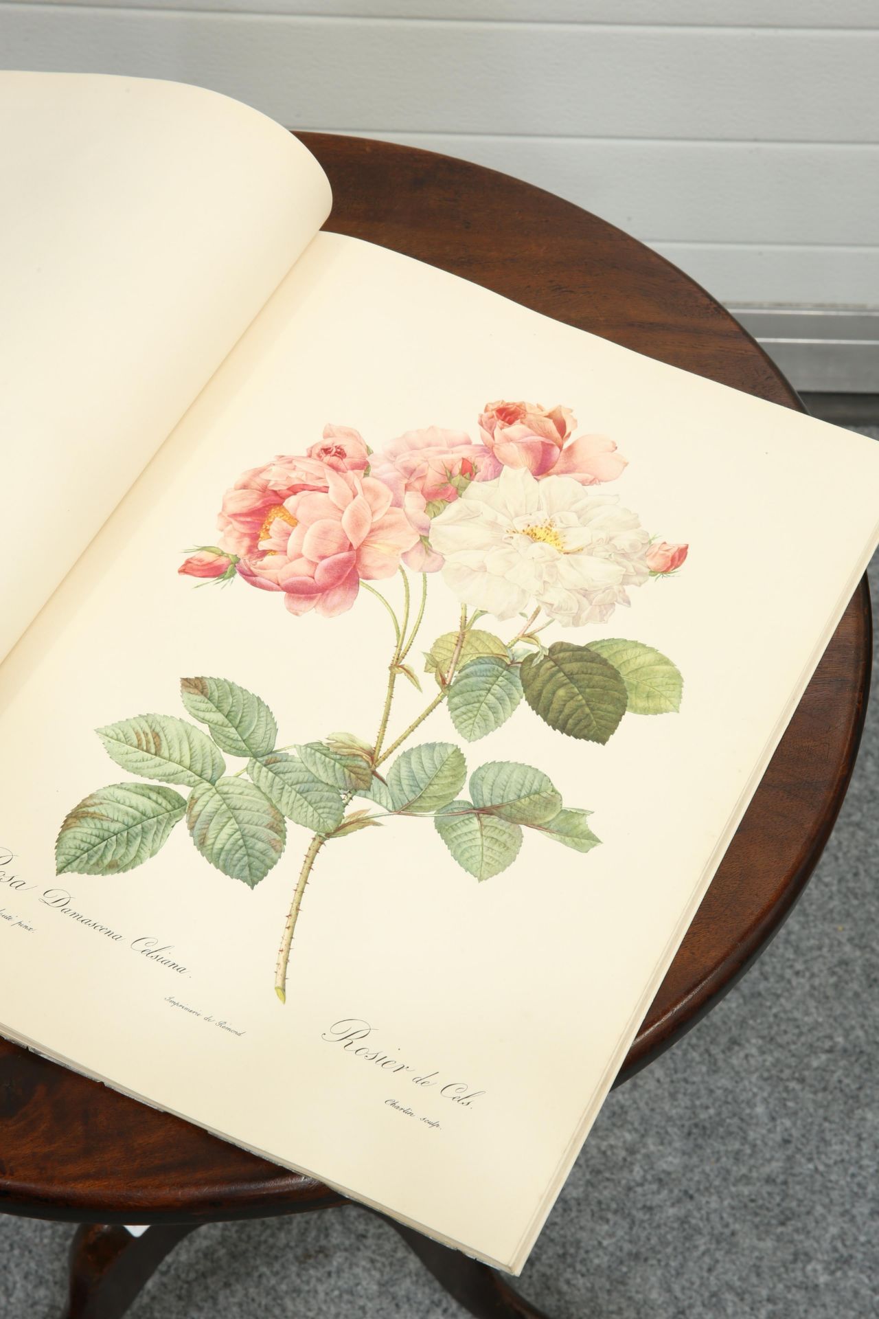 ~ PIERRE-JOSEPH REDOUTE, ROSES, The Ariel Press, pub. 1954; together with A MAPLE FRAMED BOTANICAL - Bild 5 aus 6