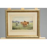 THOMAS ROWDEN (1842-1926), HORSES IN A MEADOW, signed lower right, watercolour, framed. 15cm by 24.