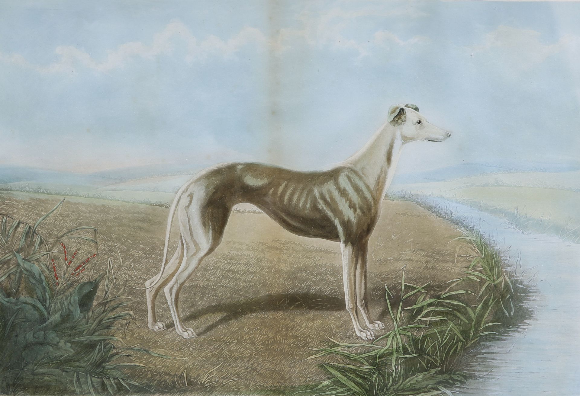 A GROUP OF FIVE 19TH CENTURY HAND-COLOURED ENGRAVINGS OF GREYHOUNDS, including "Waterloo Cup - Bild 7 aus 10