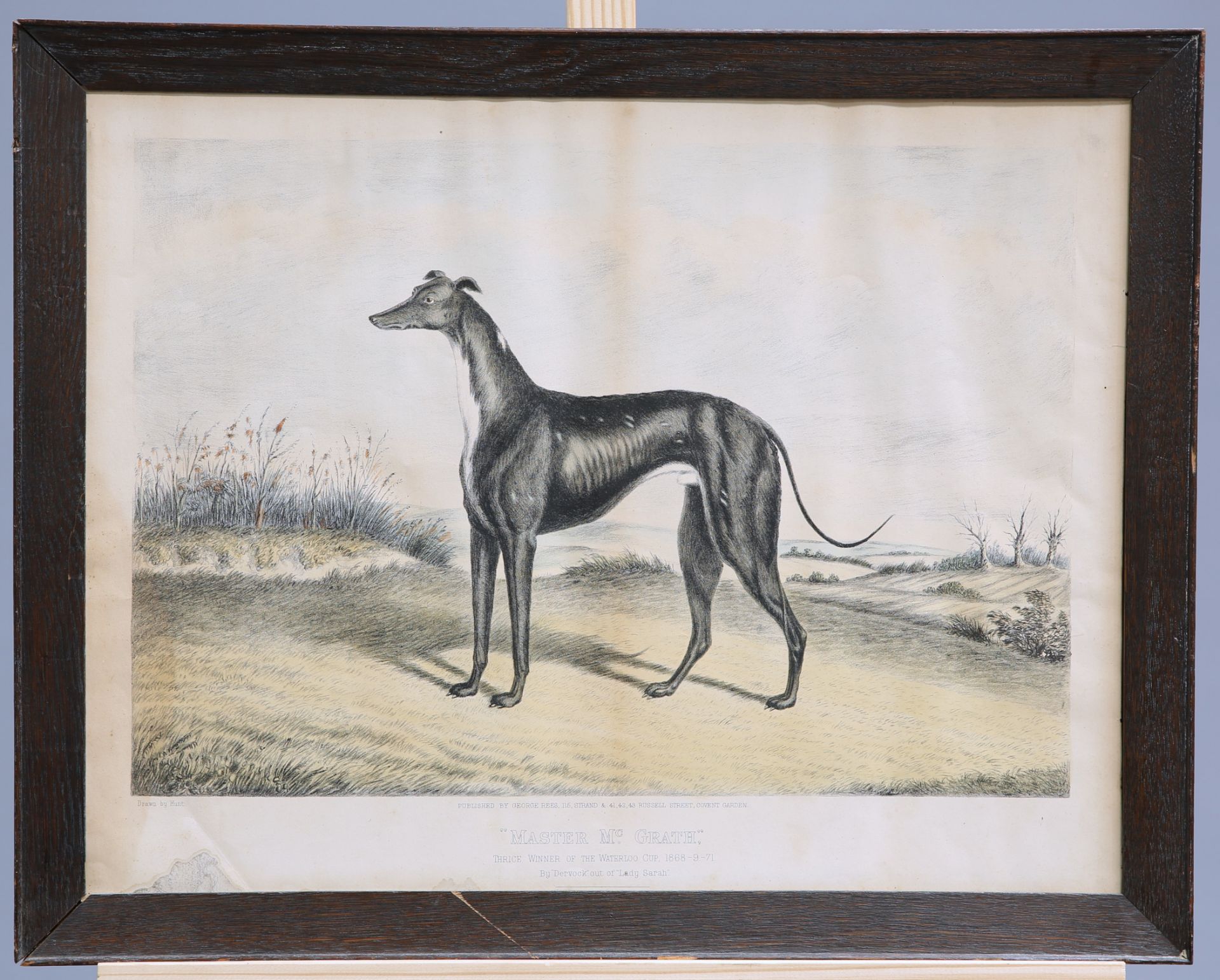 A GROUP OF FIVE 19TH CENTURY HAND-COLOURED ENGRAVINGS OF GREYHOUNDS, including "Waterloo Cup - Bild 10 aus 10