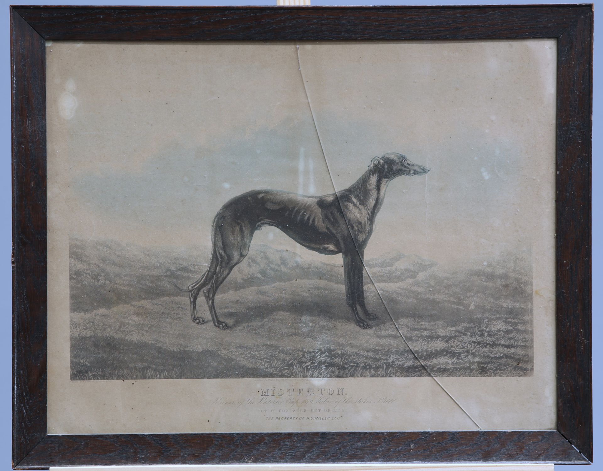A GROUP OF FIVE 19TH CENTURY HAND-COLOURED ENGRAVINGS OF GREYHOUNDS, including "Waterloo Cup - Bild 2 aus 10