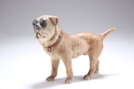 A CONTINENTAL PAINTED TERRACOTTA MODEL OF A PUG DOG