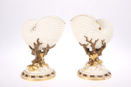 A PAIR OF ROYAL WORCESTER NAUTILUS SHELL VASES, each shell-form bowl raised on a coral-moulded