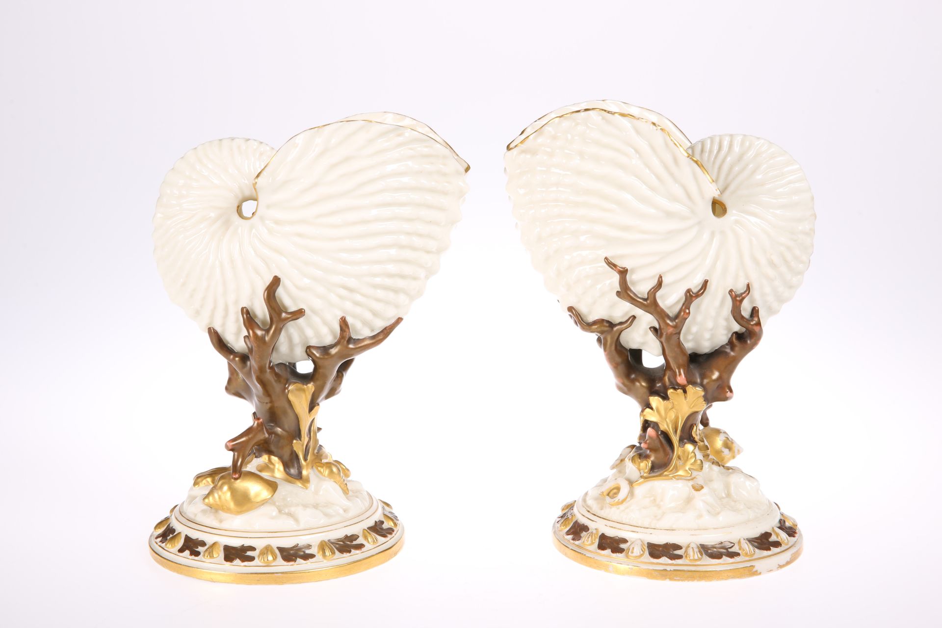 A PAIR OF ROYAL WORCESTER NAUTILUS SHELL VASES, each shell-form bowl raised on a coral-moulded