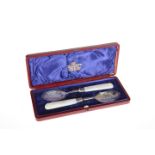 A CASED PAIR OF VICTORIAN SILVER PRESERVE SPOONS, James Dixon & Sons Ltd, Sheffield 1897, with