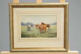 ATTRIBUTED TO THOMAS ROWDEN, HORSES IN A LANDSCAPE, signed, watercolour, framed.