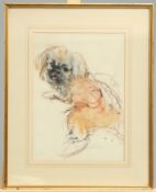 NEIL FORSTER (BORN 1940), STUDY OF A PEKINESE, signed in pencil, watercolour, framed. 34.5cm by