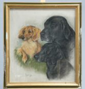 ~ MARJORIE COX (1915-2003), STUDY OF DOGS, signed and dated 1985, pastel, framed. 55cm by 49cm