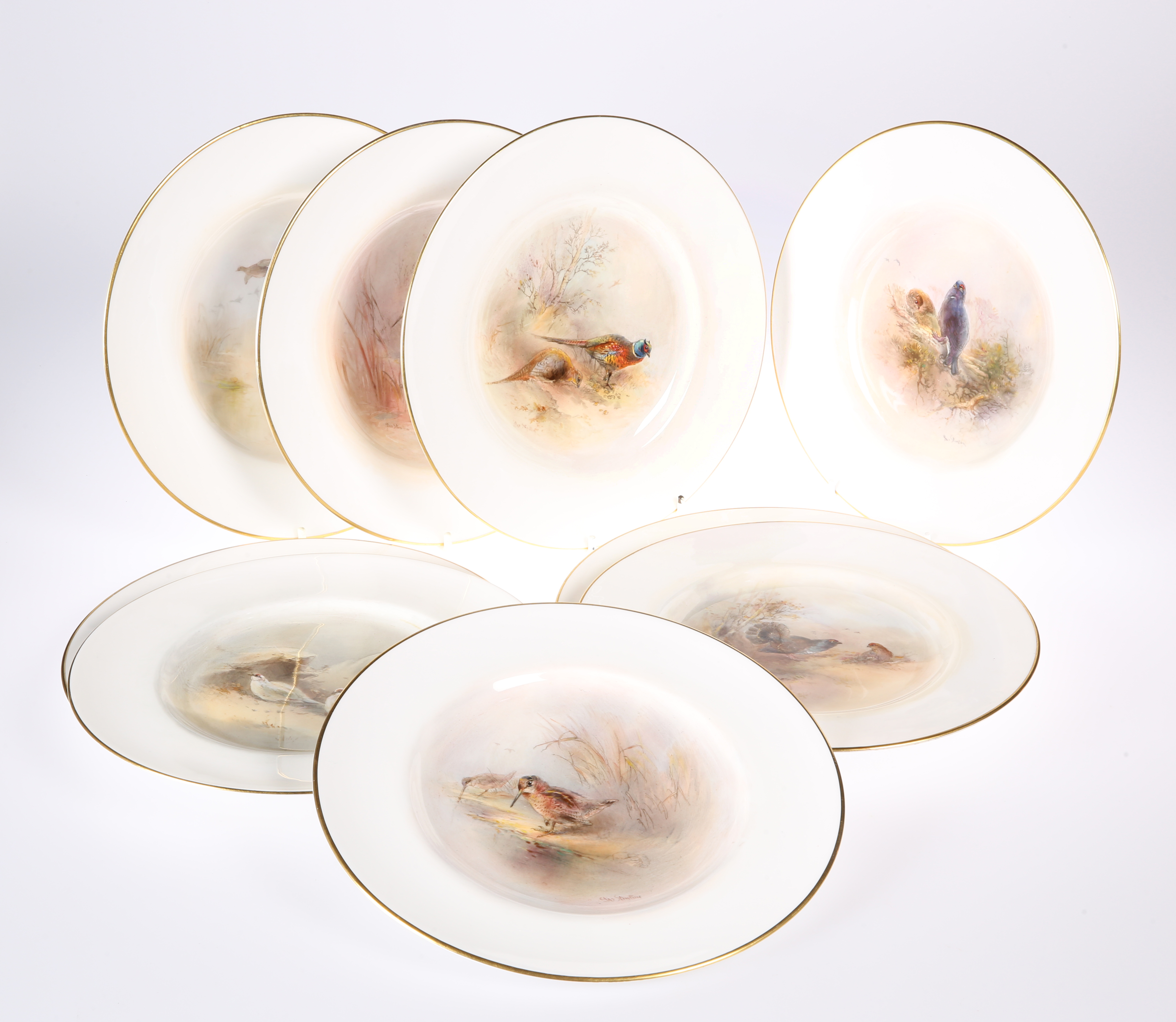 A COLLECTION OF NINE ROYAL WORCESTER ORNITHOLOGICAL PLATES, by James Stinton, each titled,