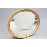 A LARGE 19TH CENTURY GILT-COMPOSITION OVAL MIRROR, with egg and dart moulded border. 87.5cm high,