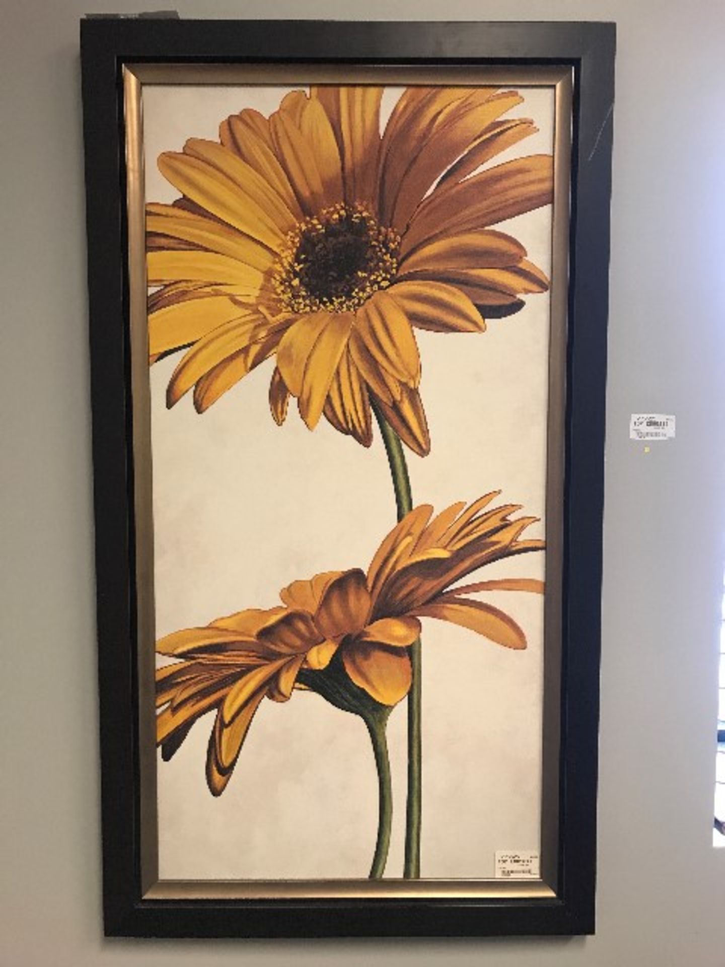 Picture frame,24”x44”