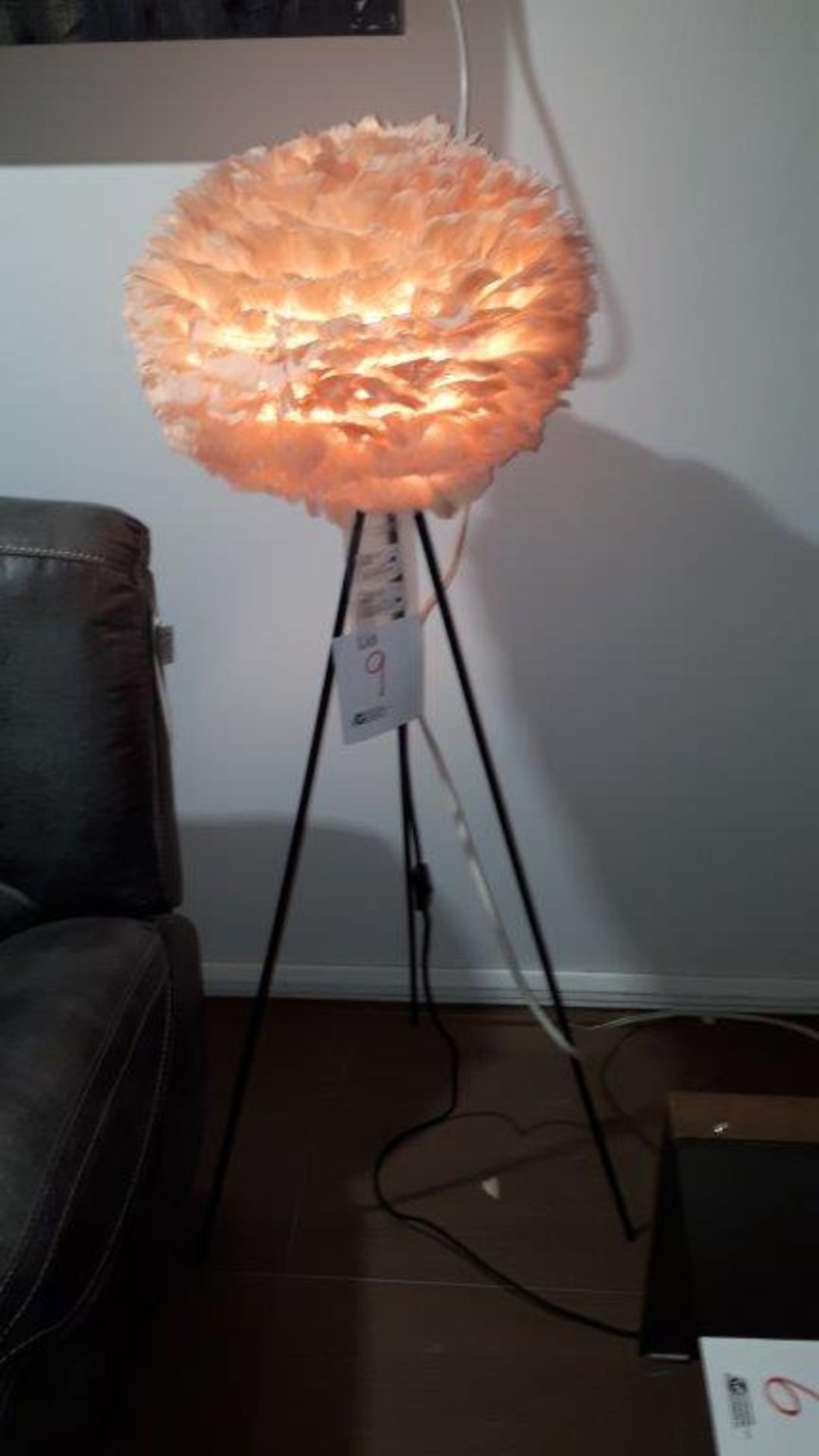 Decorative feathered floor lamp