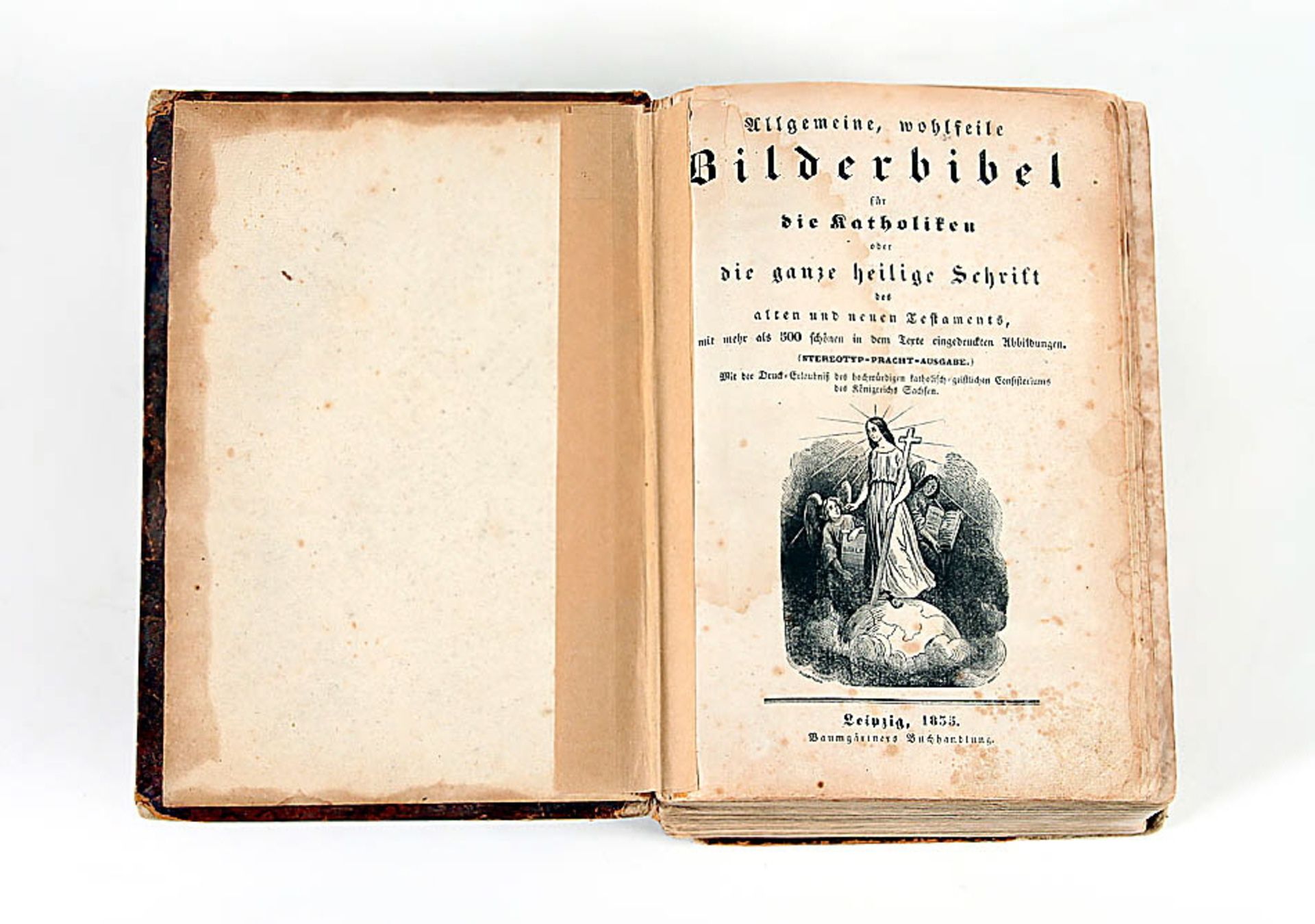 Bilderbibel