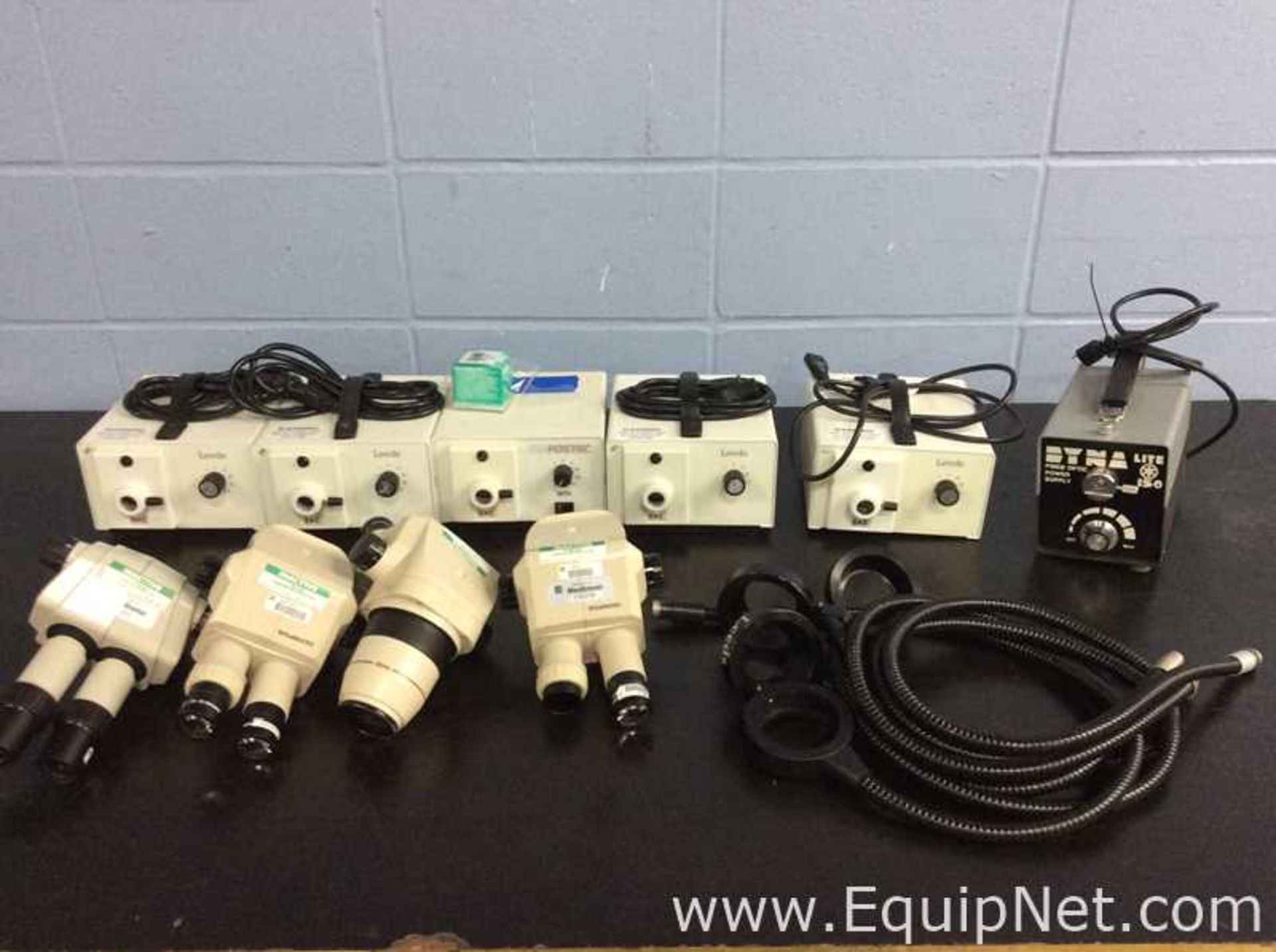 Lot of Stereoscopes and Fiber Light Sources