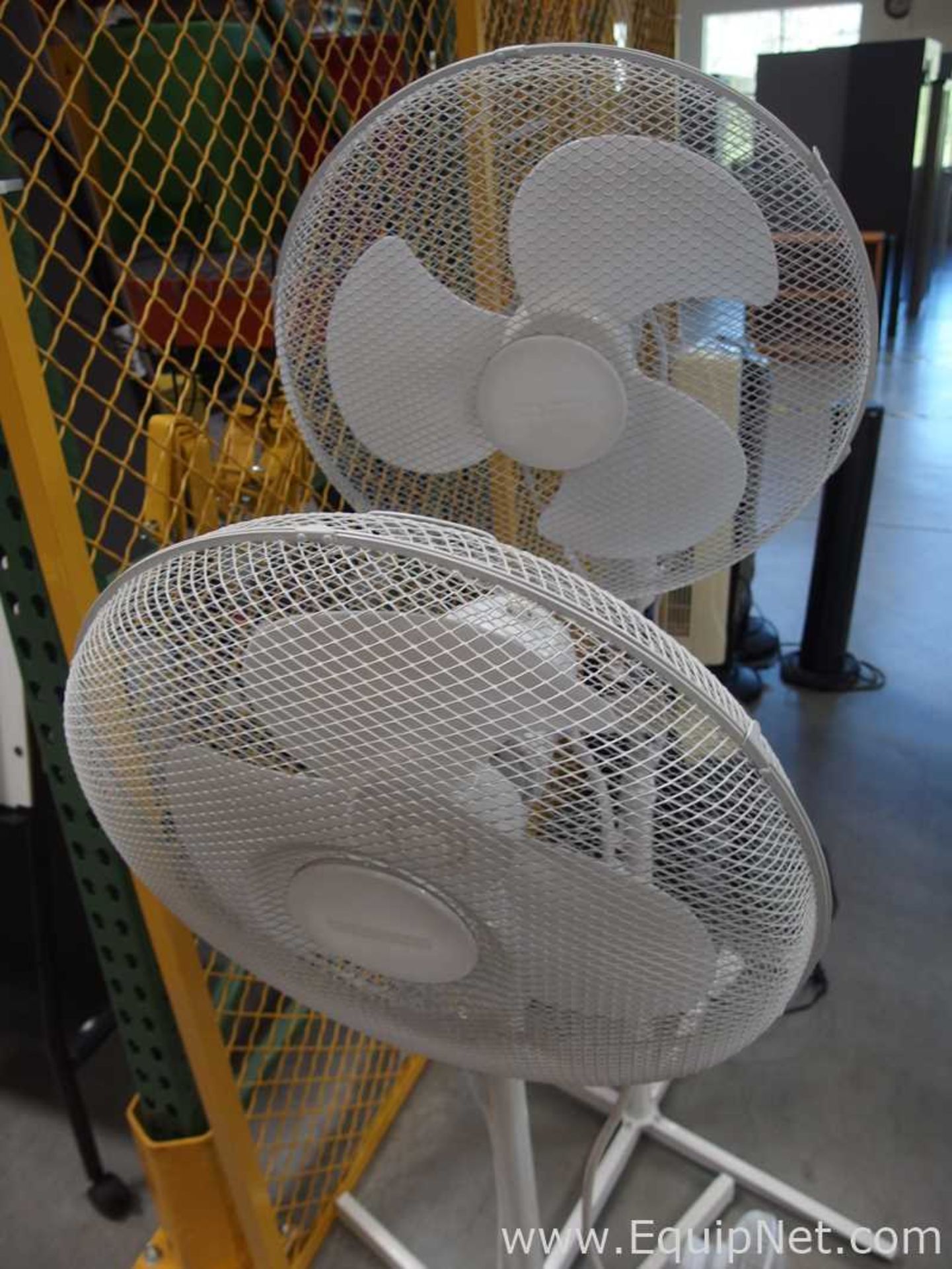 Lot of Assorted Fans - Image 2 of 4
