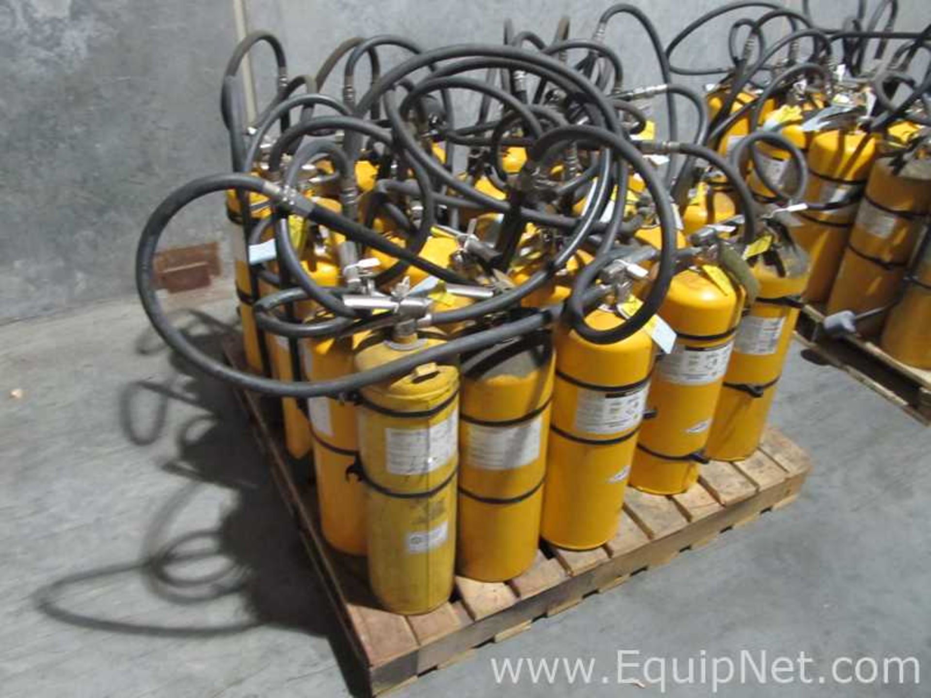 Lot of 24 Combustible Metals D Fire Extinguishers - Image 2 of 3