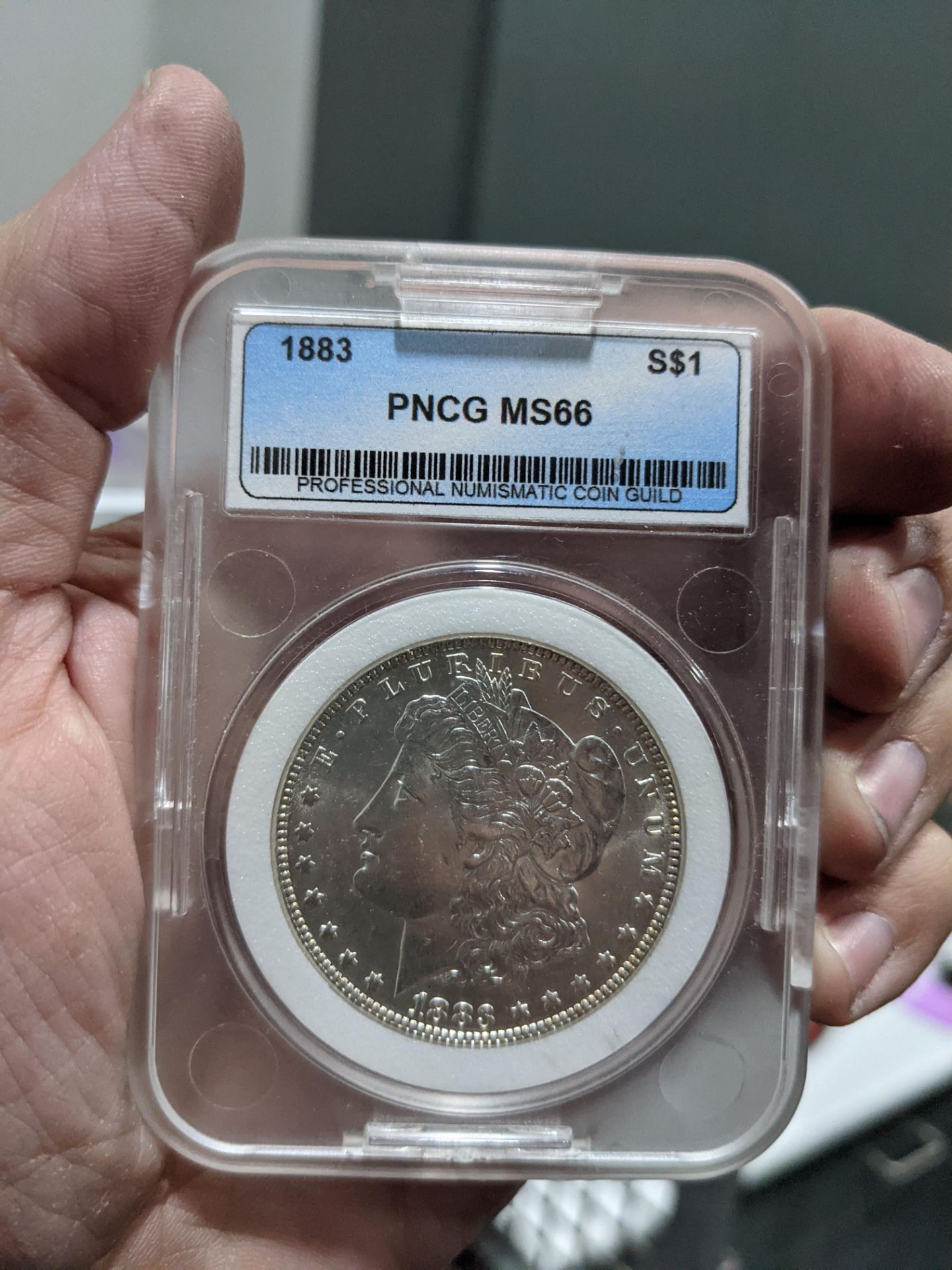 3 Morgan Dollars and 1 more - Image 5 of 6