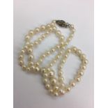 Silver clasped single strand of pearls
