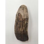 19th century Whales tooth. Weight 468 Grams, 18cm x 7.5cm