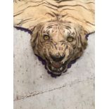 Early 20th century taxidermy of a tiger in the form of a rug