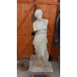 Impressive Plaster Model of Venus De Milo