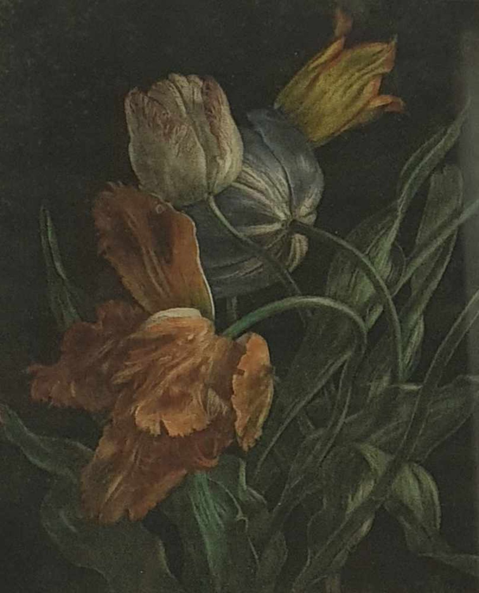 Hans Frank (Wien 1884-1948 Salzburg) Tulpen , Holzschnitt in Farbe , handsigniert Hans Frank ,