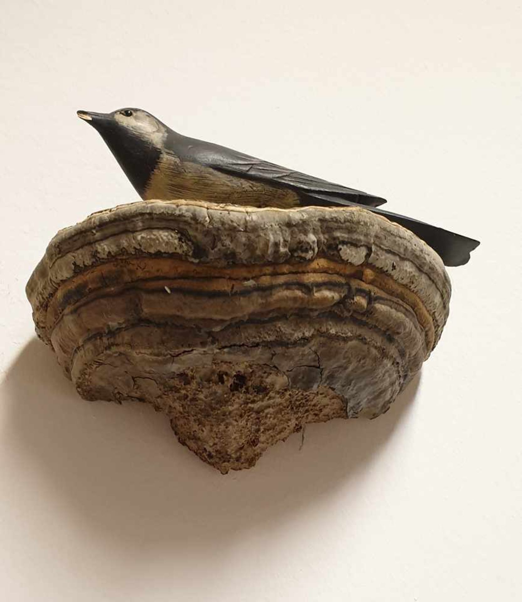 Viechtauer Vogel ,Holz geschnitzt und gefasst auf Holzschwamm montiert, 19./20.Jahrhundert, Größe: - Image 2 of 3