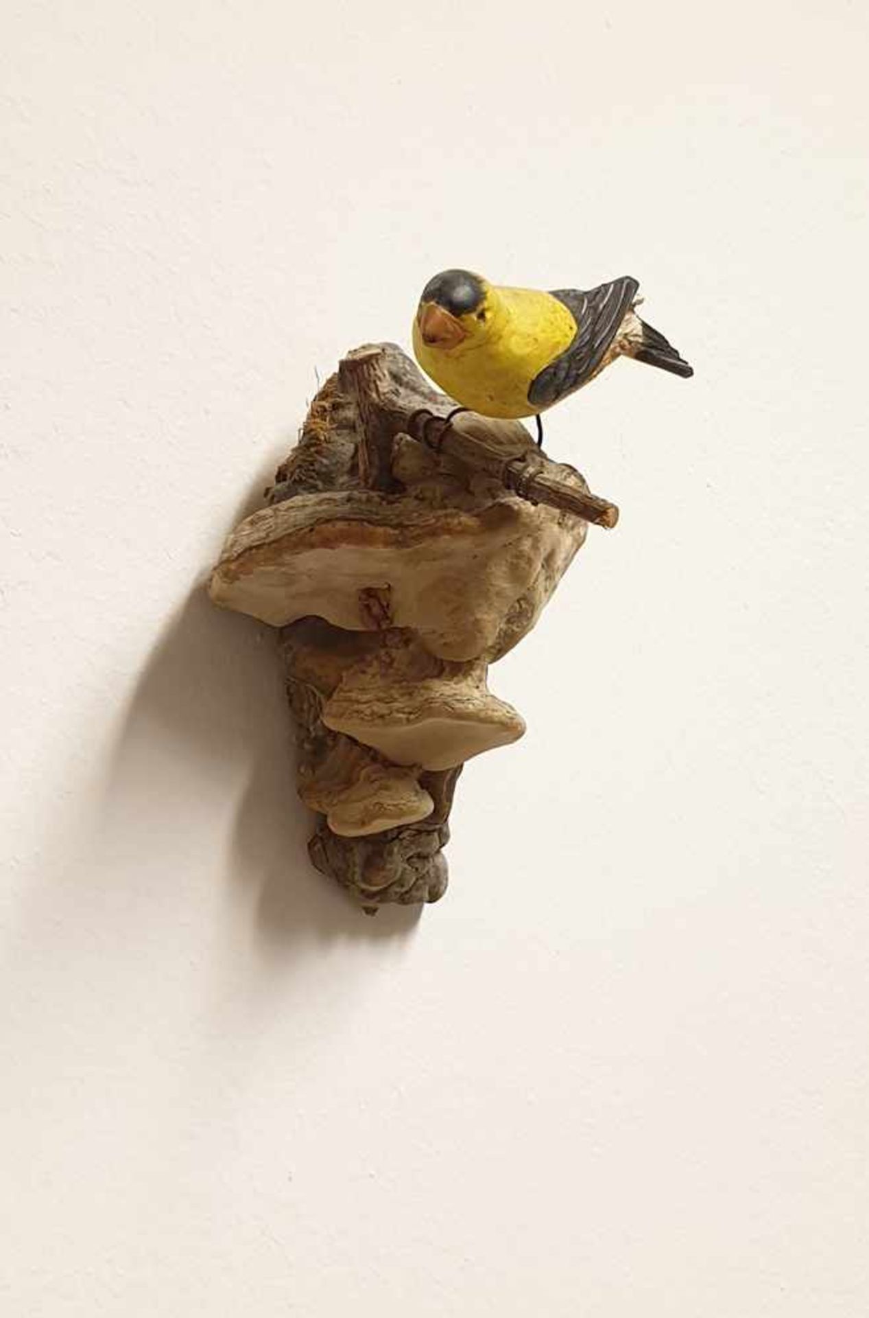 Viechtauer Vogel , Holz geschnitzt und gefasst, auf Holzschwamm gelegt, 19./20.Jahrhundert, Größe: - Bild 2 aus 4