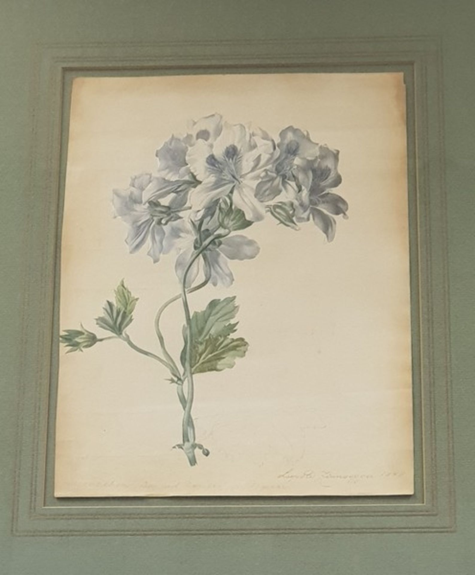 Leopold Zinnögger (Linz 1811-1872), Blumenstillleben , Aquarell auf Papier, signiert rechts unten - Bild 3 aus 3