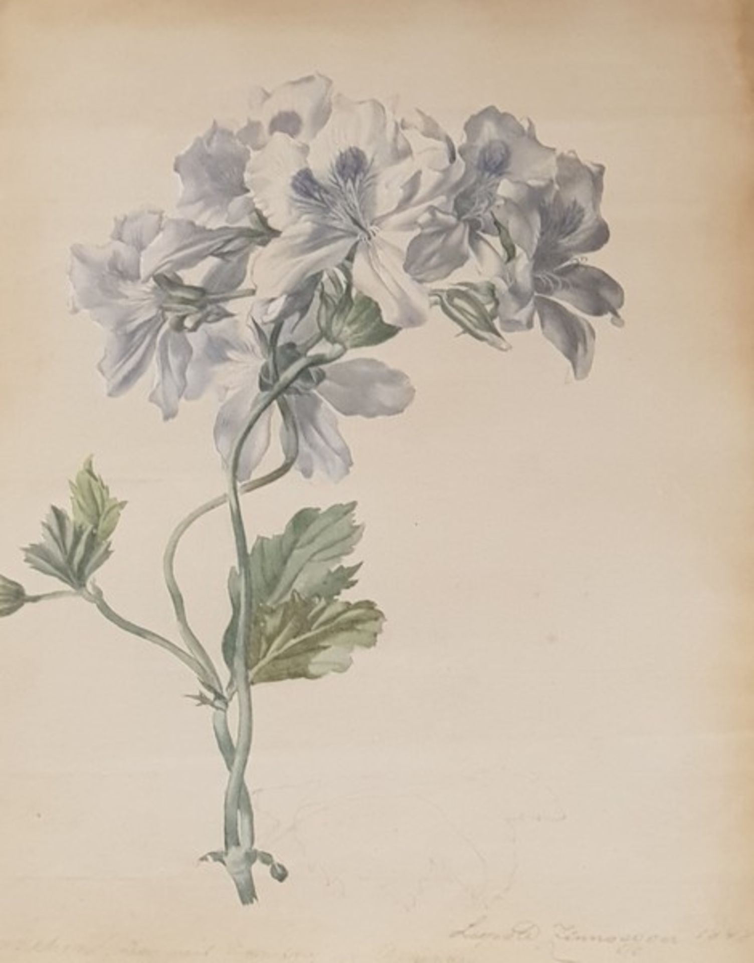 Leopold Zinnögger (Linz 1811-1872), Blumenstillleben , Aquarell auf Papier, signiert rechts unten