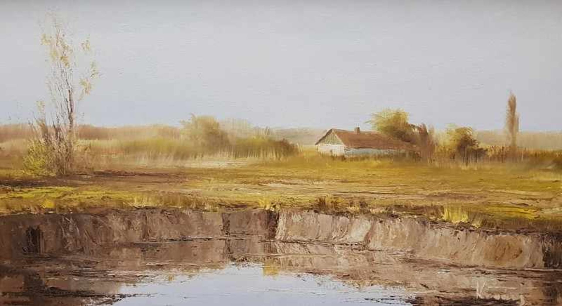 Sumpflandschaft mit Bauernhaus vermutlich Ungarisch, Öl auf Leinwand auf Holzplatte aufgelegt,